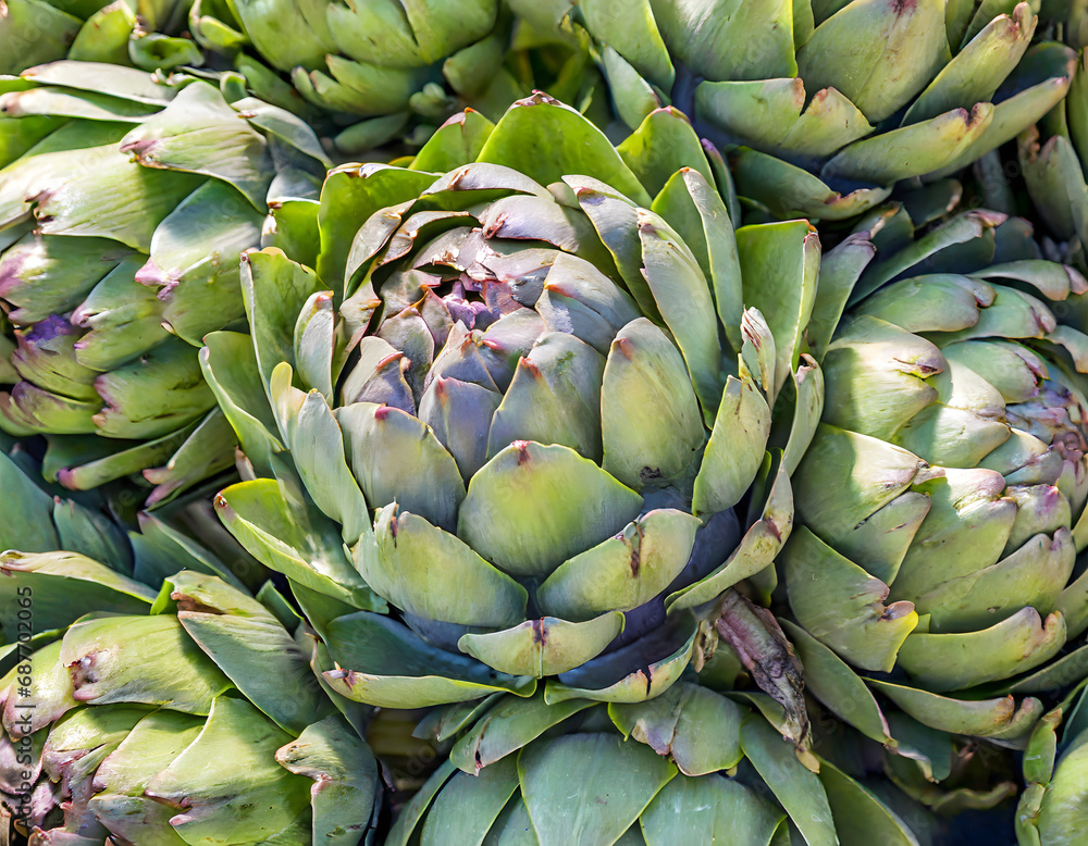 Fototapeta premium Full frame shot of artichokes