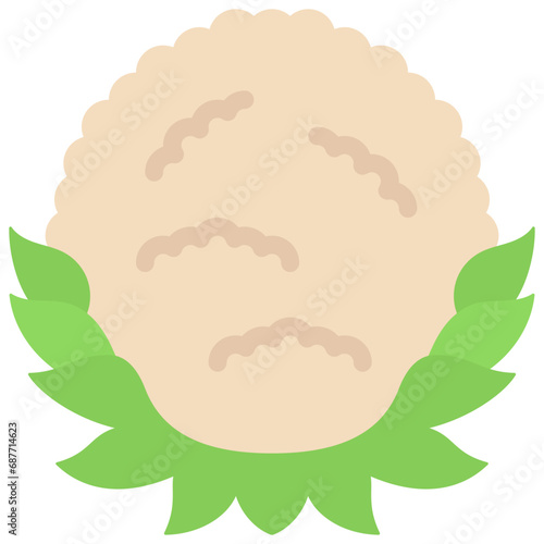 Cauliflower Head Vegetable Icon