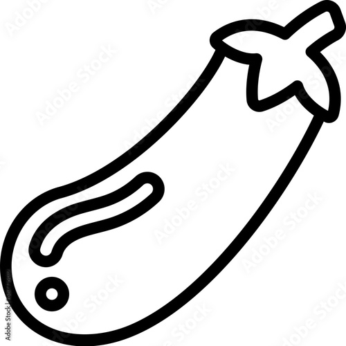 Aubergine Fruit Icon