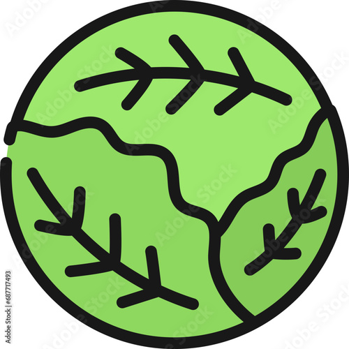 Ball Of Cabbage Icon