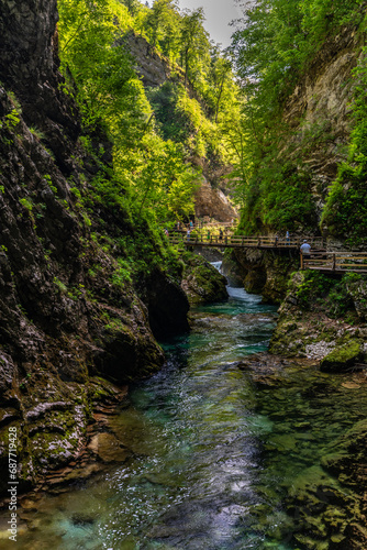 Beautiful view of the turquoise transparent stream water in Vintgar Gorge near Lake Bled in summer, Upper Carniola, Slovenia