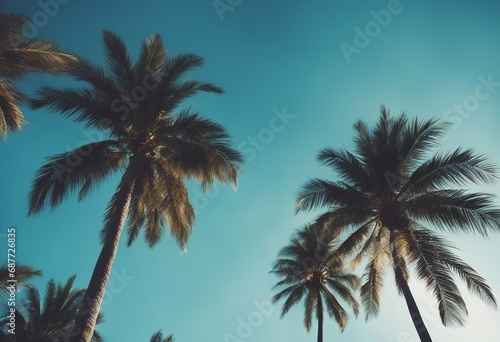 Blue sky and palm trees view from below vintage style tropical beach and summer background travel