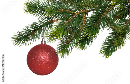 Christmas tree branch and single red glass ball isolated on white, transparent background, PNG. New year decor, traditional holiday decoration