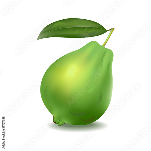 One whole green guava fruit with leaf isolated on white background. Fruit agriculture food. Realistic vector illustration.