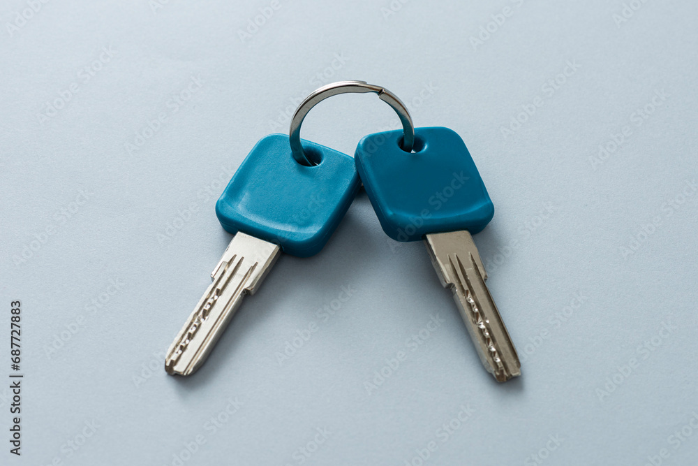 Close up of home keys on white background. Close up of home keys on white background.