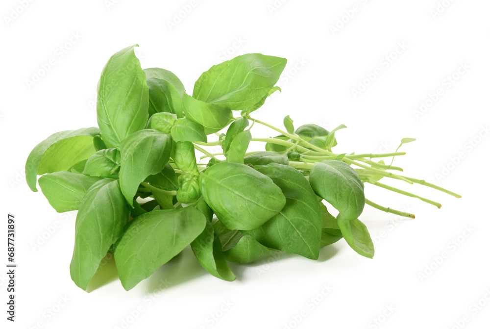 Fresh green basil on white background Fresh green basil on white background