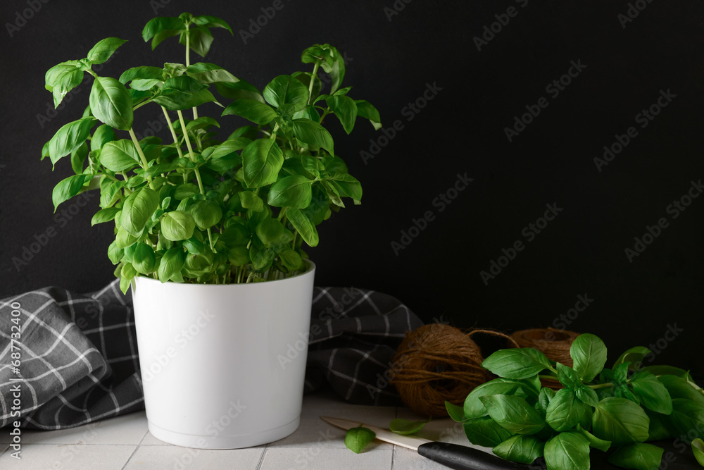 Pot with fresh green basil on white tile table Pot with fresh green basil on white tile table