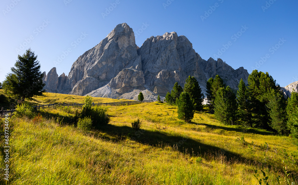 Obraz premium Tranquil trail with wooden railings leading through lush green alpine meadow to foot of towering rugged rocky summits of Mont de Fornella i