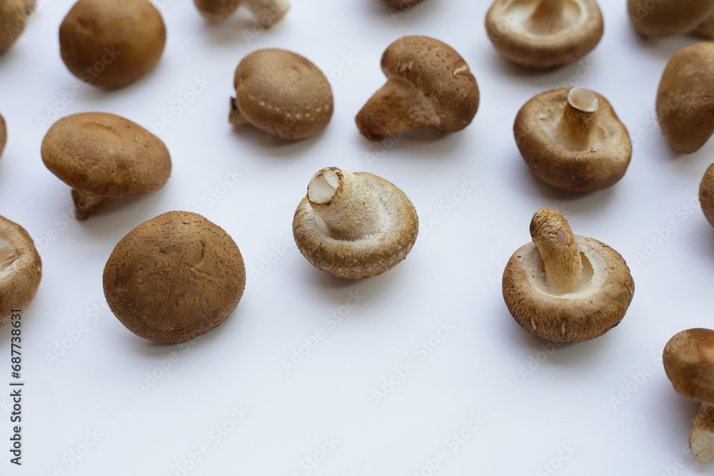 Fresh shiitake mushrooms on white background. Fresh shiitake mushrooms on white background.