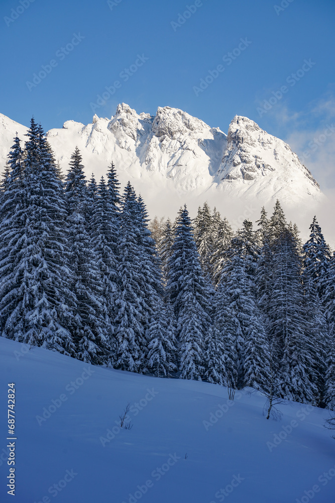 snow covered peaks in the background of a snow covered forest in winter
