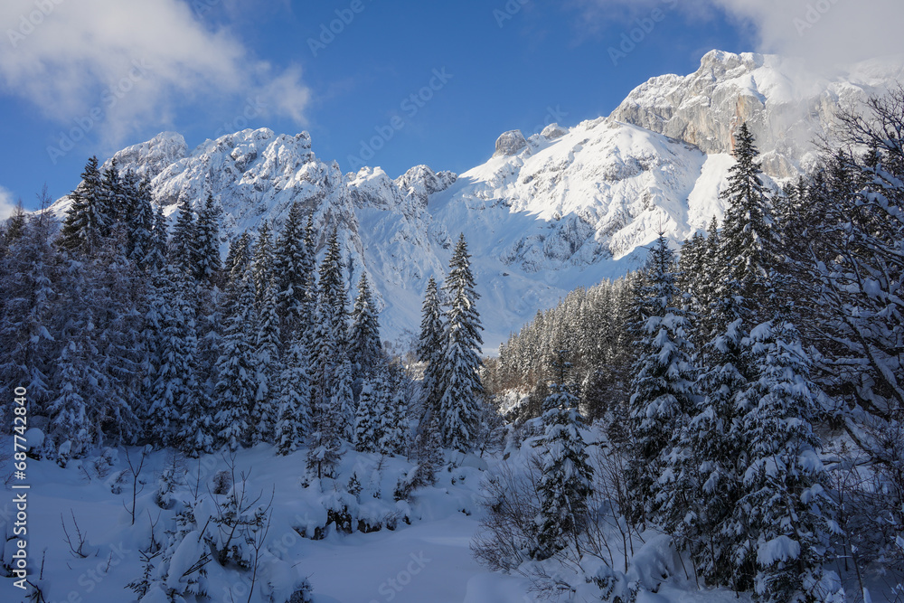 landscape with snow covered mountains in winter in austria