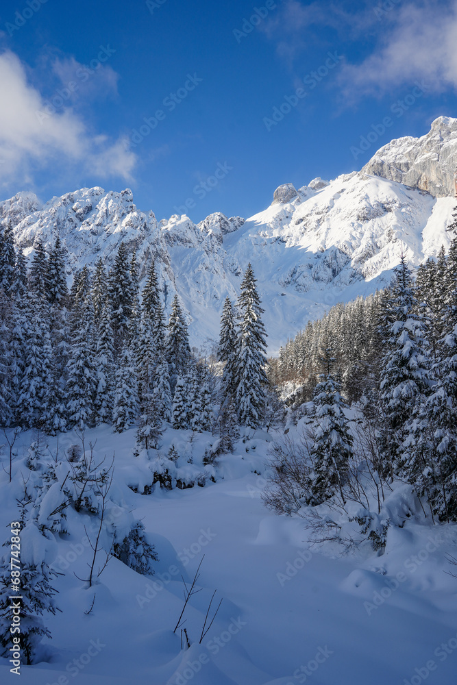 snow covered mountains and forest with blue sky in the alps
