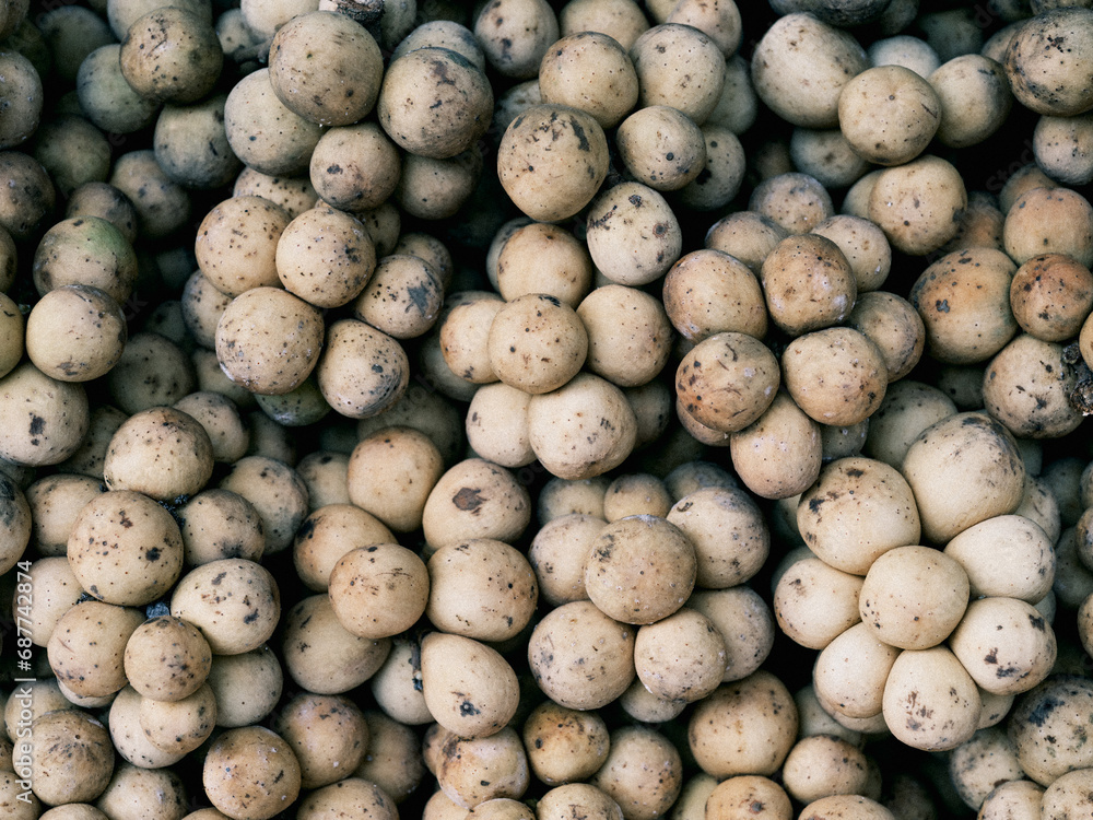 The delicious lanzones sold at the local market. The delicious lanzones sold at the local market.