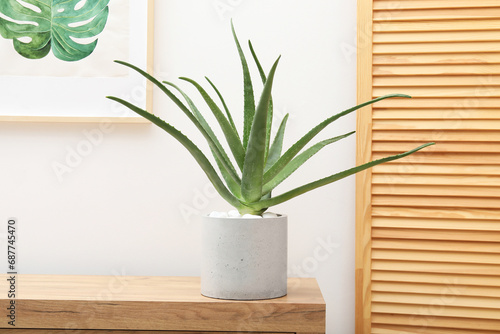 Beautiful potted aloe vera plant on chest of drawers indoors