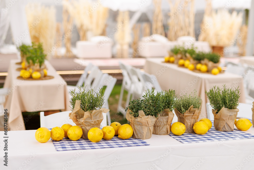 A rustic summer table with fresh lemons and herbs on a checkered tablecloth. A rustic summer table with fresh lemons and herbs on a checkered tablecloth.