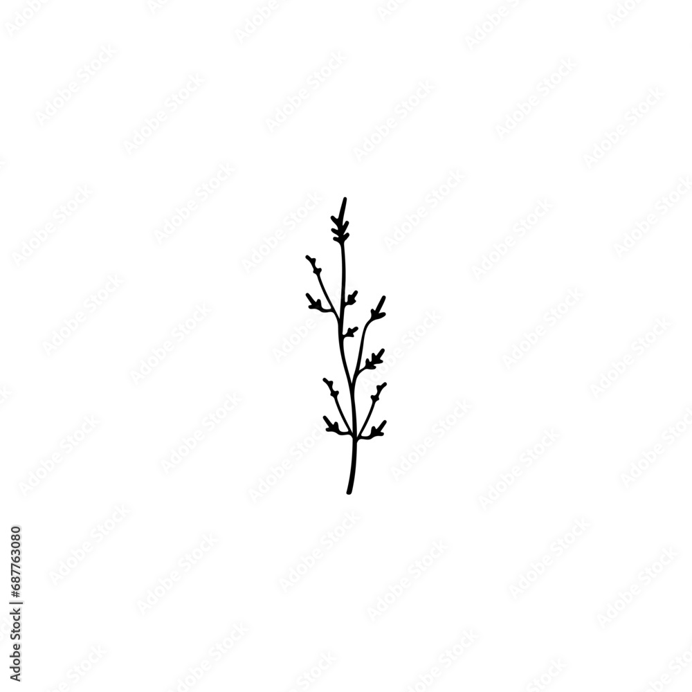 Obraz premium decoration plant black and white isolated