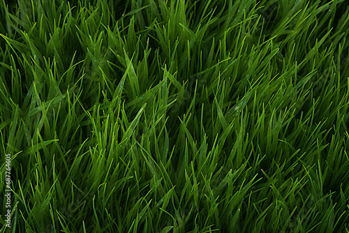 The close up landscape detail of lush green grass meadow or artificial grass in a football field texture surface, background and wallpaper. Generative AI. photo