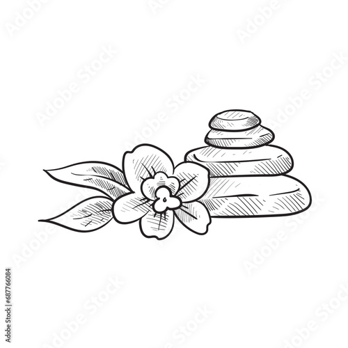 spa jasmine flower handdrawn illustration