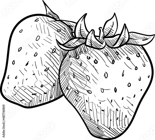 strawberry handdrawn illustration
