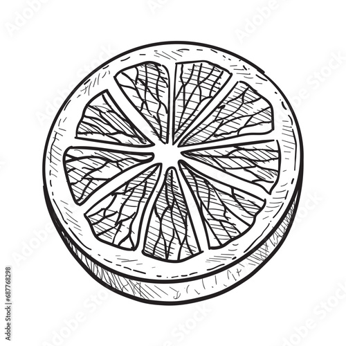 lemon handdrawn illustration
