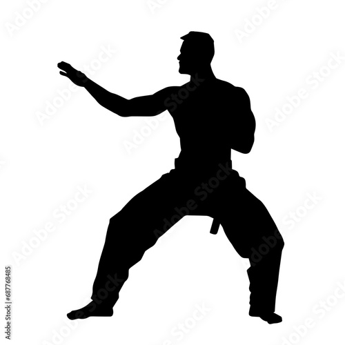 Silhouette of a man in oriental martial art pose. Silhouette of a male in martial art move.