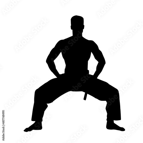 Silhouette of a man in oriental martial art pose. Silhouette of a male in martial art move.