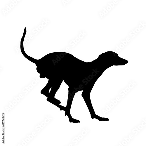 Silhouette of running dog pet animal isolated on white background.