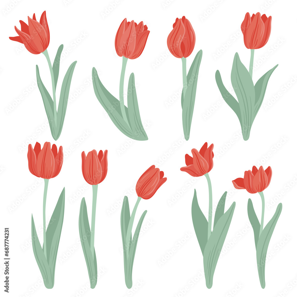 red tulips, spring flowers, vector drawing wild plants at white background, floral elements, hand drawn botanical illustration red tulips, spring flowers, vector drawing wild plants at white background, floral elements, hand drawn botanical illustration
