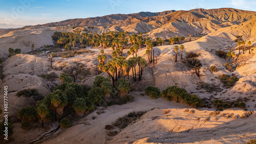 Foto Aerial view of Fan Palms growing along the San Andreas fault in the Indio Badlan