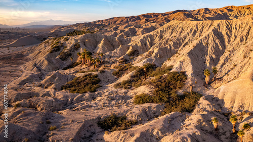 Aerial view of Fan Palms growing along the San Andreas fault in the Indio Badlands