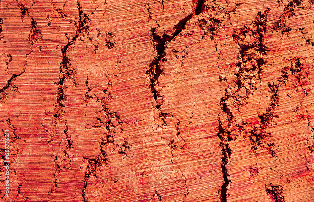Fototapeta premium Background Natural red soil in my backyard