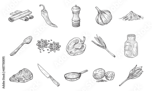 herbs and spices handdrawn collection