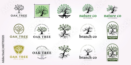 oak tree logo design bundle, nature tree icon set vintage forest vector illustration