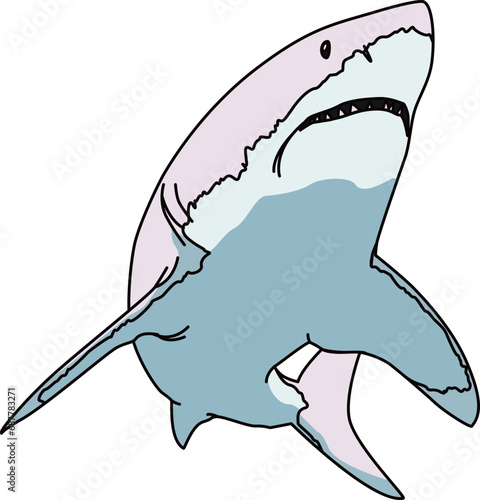 サメ（shark）(eps)