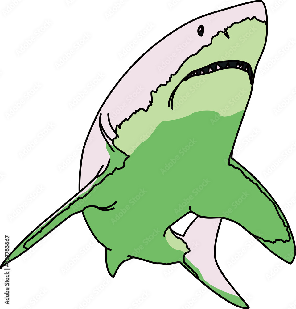 Obraz premium サメ(shark)