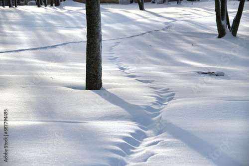 Deep layer of snow and tracks imprinted on the snow