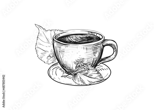 Hand drawn sketch black and white illustration cup of tea linden, leaf, flowers. Vector illustration. Elements in graphic style label, sticker, menu, package. Engraved style.