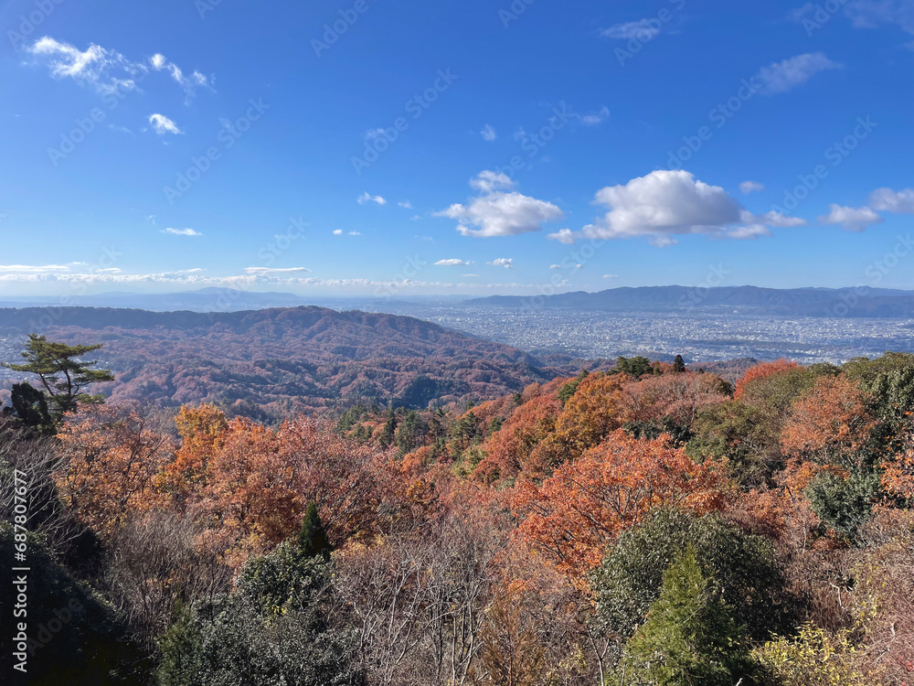 紅葉した山々から京都市中心部を望む