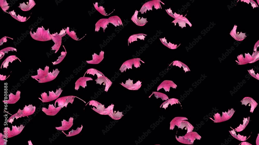 Windy leaf autumn LOOP TILE Swirl with alpha. This 3d animation of pink leaves and wind is loopable and tileable Windy leaf autumn LOOP TILE Swirl with alpha. This 3d animation of pink leaves and wind is loopable and tileable