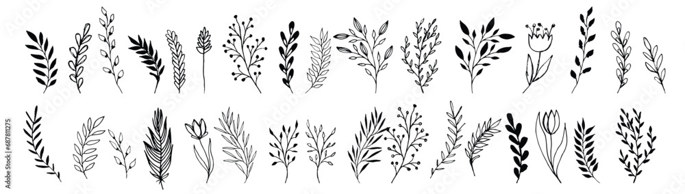 Wild flowers vector collection. Set hand drawn curly grass and flowers on white isolated background. Botanical illustration. Decorative floral picture.
Wild flowers vector collection. Set hand drawn curly grass and flowers on white isolated background. Botanical illustration. Decorative floral picture.