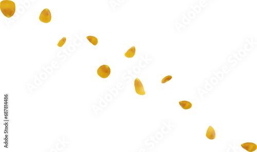 falling golden rose petals