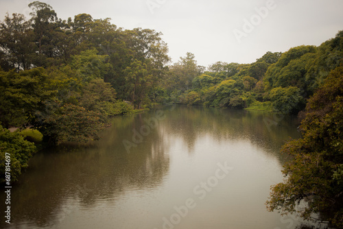 lake in the woods