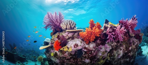 Colorful coral on pinnacle rock in the Andaman Sea. Vibrant underwater scenery at Racha Noi island in Phuket  Thailand.