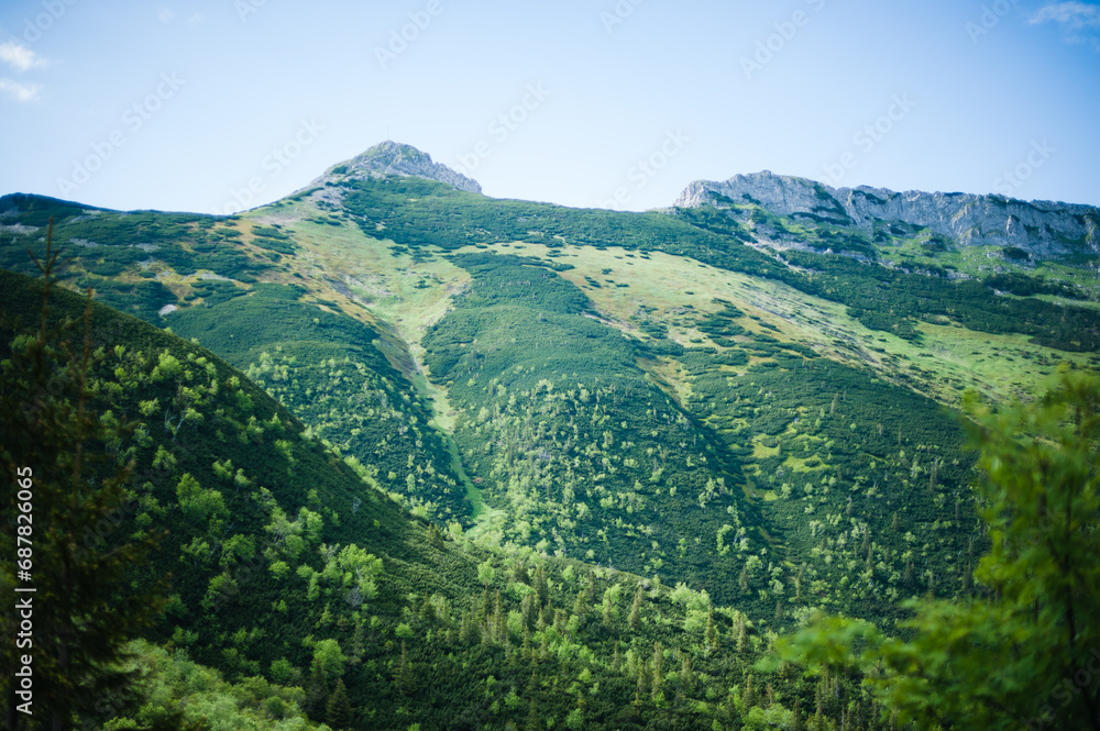 Obraz premium landscape with mountains