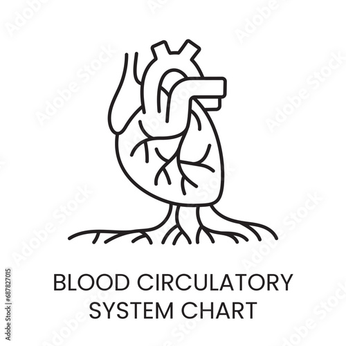 Diagram of the circulatory system, heart and blood vessels line icon vector for educational materials about diabetes.