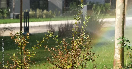 Automatic Sprinkler Watering Lush Green Grass in a Sprawling Field photo