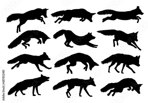 The set silhouettes of wild foxes.
