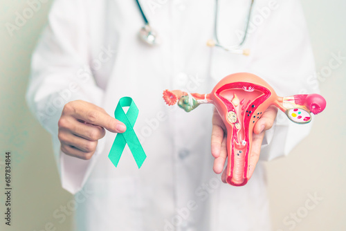 Doctor holding Teal ribbon with Uterus and Ovaries model for January Cervical Cancer Awareness month. Cervix, Endometriosis, Hysterectomy, Uterine, Reproductive, Healthcare and World cancer day photo