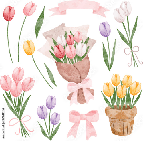 Fototapeta Naklejka Na Ścianę i Meble -  Watercolor Illustration set of Tulip Flower