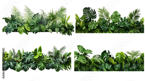 Collection of PNG. Green leaves of tropical plants bush floral isolated on a transparent background.